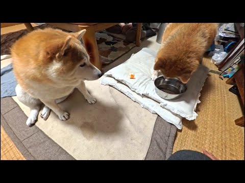 ヨーグルトを1つの器に盛り付けた結果 サムネイル