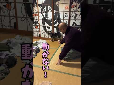 大暴れ サムネイル