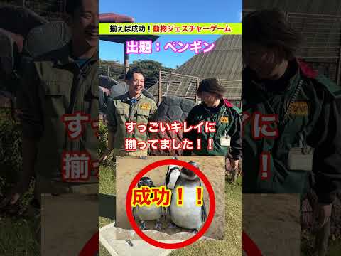 ジオラマ班の絆を試す！ジェスチャーゲーム挑戦🔥 サムネイル