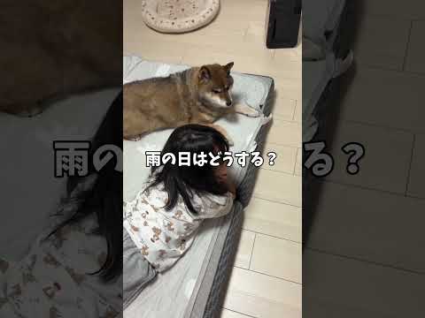 子供が生まれたら犬を飼いなさいとかいうけれど・・・