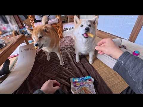 2026年5月29日(金) 姪っ子ちゃんからプレゼント(おやつ入り)を頂きました！👜🍠