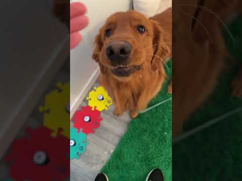 Be honest… How is Clifford doing? サムネイル