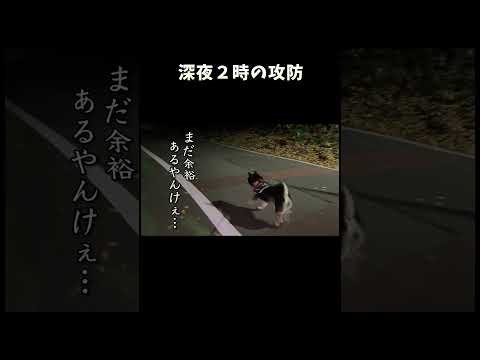 深夜２時の攻防 サムネイル