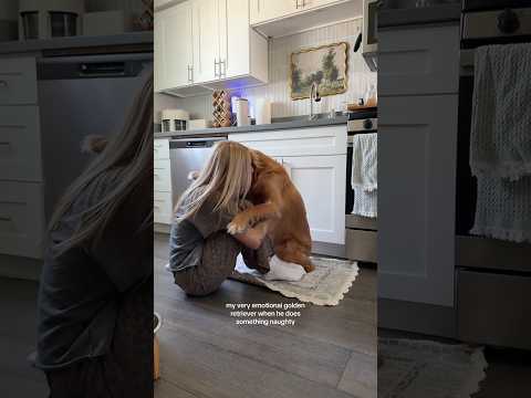 Bikini Try-On Haul | 4K Transparent Lingerie & See-Through… サムネイル