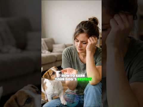 How to Earn Your Dog’s Respect shorts dog pets doglove puppy サムネイル
