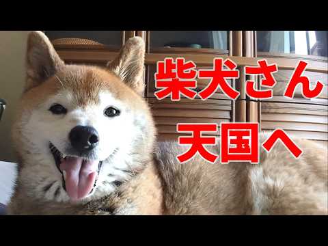 【1082】旅立ちました サムネイル