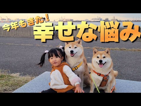 気にかけてたのに、今年もやってきてしまった柴犬の【幸せな悩み】 サムネイル