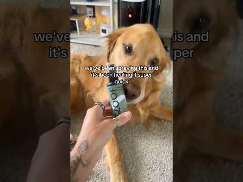 me every 5 minutes bc it decided to tornado in san diegoret… サムネイル