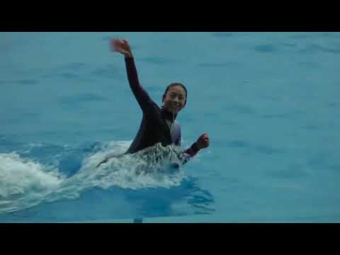 2回目オルカパフォーマンスより　須磨シーワールドにて　2025年12月25日   00023 サムネイル