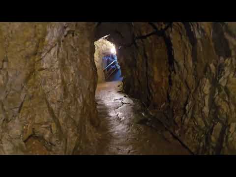 稲積水中鍾乳洞を散歩 入口から水中洞　ビスとイロハは車でお留守番 サムネイル