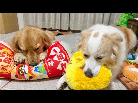 トラブルが起きてしまいました😭続きです！！ サムネイル