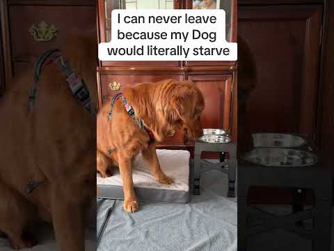 I guess I have to stay home 🤭 サムネイル