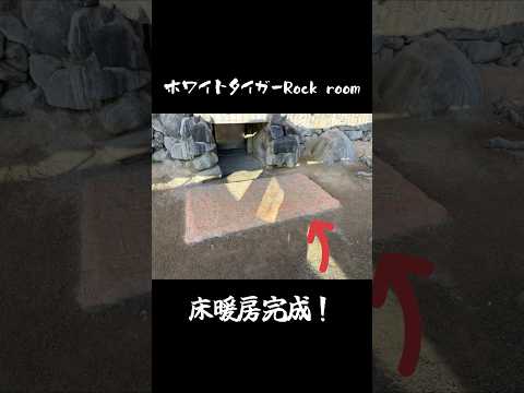 床暖房完成！ 東武動物公園 動物 zoo ホワイトタイガー スカイ 床暖房 満喫 サムネイル