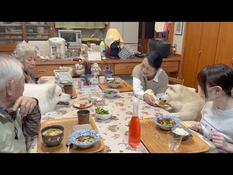 出産決起会＆少し早いクリスマスパーティーに大喜びの柴犬とサモエド サムネイル