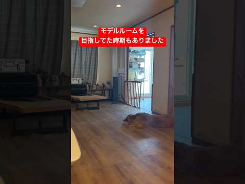 ライトの悪い遊びをアウラが完コピして、飼い主もう限界ww サムネイル