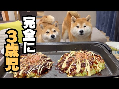 誰よりも早く着席し、まるで人間のようにみんなと一緒にご飯を食べる柴犬【お好み焼き】 サムネイル