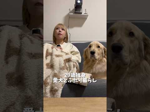 うちのかわい子ちゃんは私の腕にあごを乗せて甘えてきます❤️ゴールデンレトリバー 犬と2人暮らし goldenretri… サムネイル