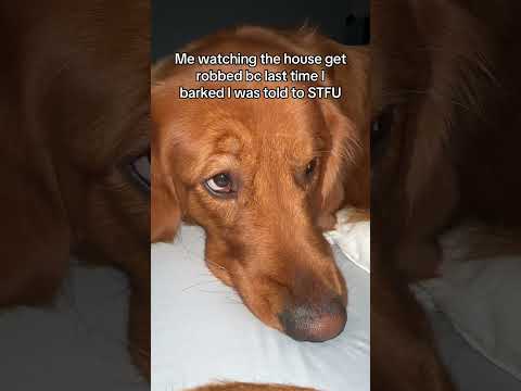 See what happens 👀 サムネイル