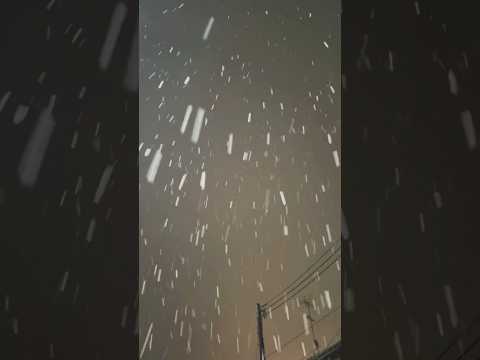 【雪だぁ〜！！子供は大喜び⛄️】snow ゆき 冬 shorts happy youtubeshorts サムネイル