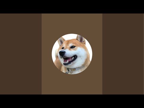 【全体ライブ】回すものがないので雑談 サムネイル