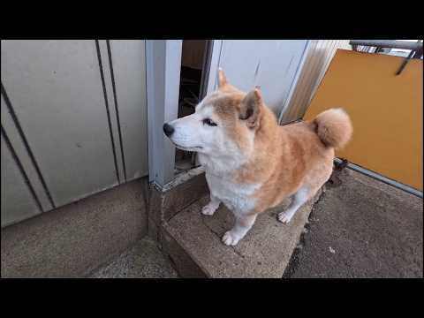 「満足するまで揉んだら通してやる」と裏口に立ちふさがる妖怪モンデケ サムネイル