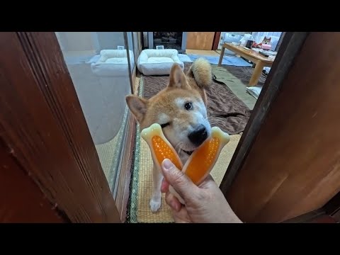 🎍新春ログインボーナス配布 サムネイル