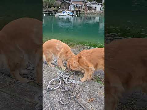 﨑津地区 懐かしい朝ドラのロケ地なんだけど サムネイル
