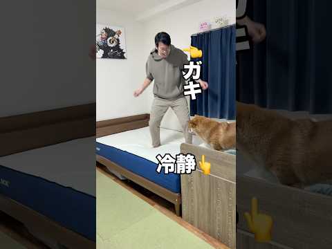 フォロワー様限定の専用クーポンをご用意していただきました✨▶︎ クーポンコード【rnobuchan_0229】 PR… サムネイル