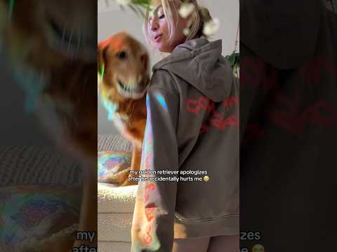 coming home to my golden retriever🥵 goldenretreiver dog ind… サムネイル