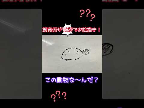 動物園飼育係が10秒でお絵描き‼︎この動物な〜んだ？ 東武動物公園 動物 動物園 飼育係 お絵描き クイズ