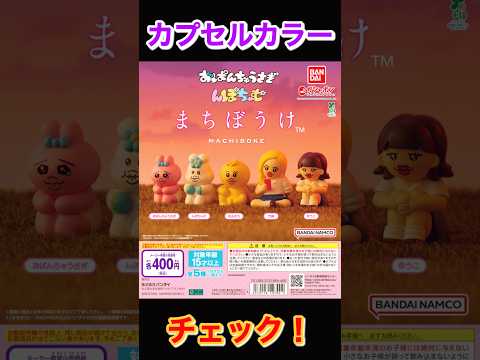 【カプカラチェック】おぱんちゅうさぎ＆んぽちゃむ まちぼうけ サムネイル