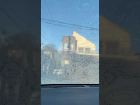 shorts 溶けかけのフロントガラス バラが咲いた様🌹　千葉市内にて　2026年1月8日 サムネイル