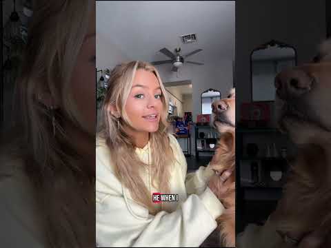 Bikini Try-On Haul 122 :| 4K Transparent Lingerie & See-Thr…