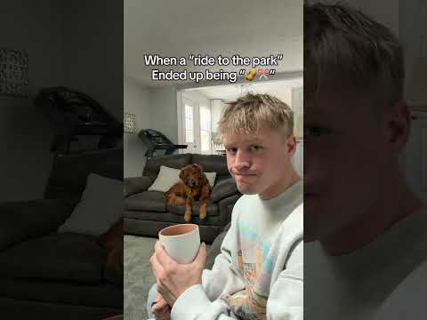 He’s been staring for hours 😳 サムネイル