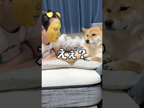 えぇ？わんちゃんってこういう所あるよね　#柴犬 #shorts サムネイル