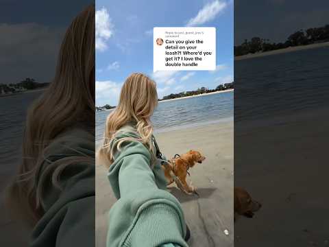 coming home to my golden retriever🥵goldenretreivers dog pup… サムネイル