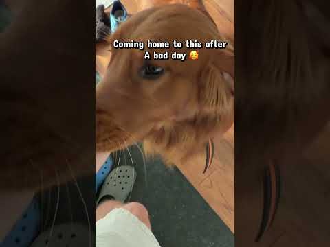 Best purchase I’ve ever made 🥰 サムネイル