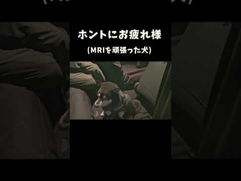 ホントにお疲れ様 サムネイル