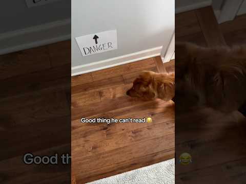 Now he doesn’t like popcorn 😂 サムネイル