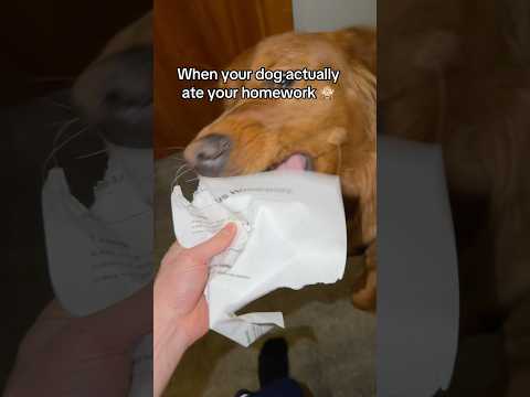 Send this to your teacher as proof 😉 サムネイル