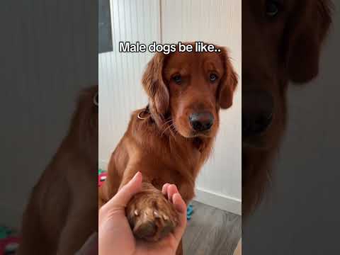 Such a charmer 😂 サムネイル