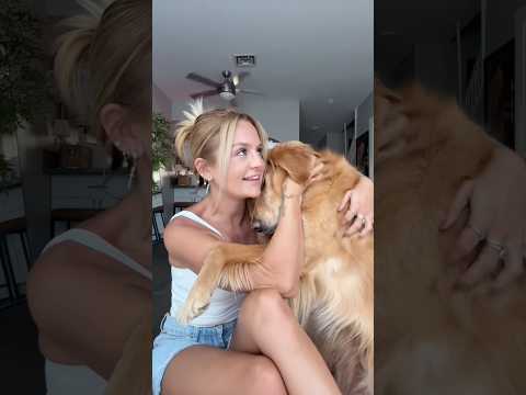 coming home to my golden retriever🥵 goldenretreiver dog ind…