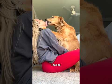 coming home to my golden retriever🥵 goldenretreiver dog ind… サムネイル