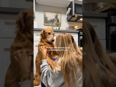coming home to my golden retriever🥵 goldenretreiver dog ind… サムネイル