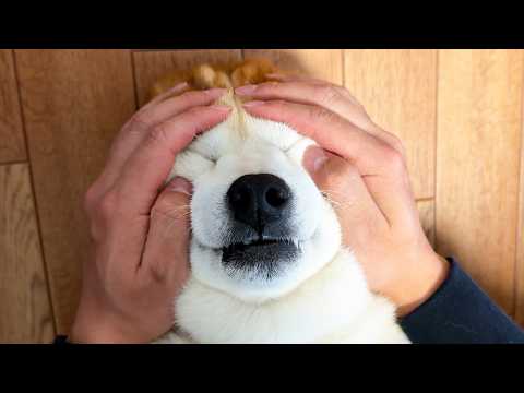 ぎゅむむむむ.....ぱっっっ!!!