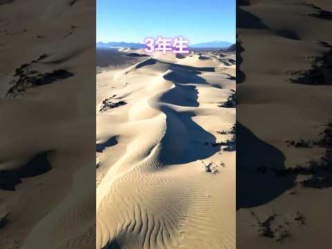 学校のグラウンドが砂漠ぐらい広い！