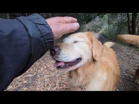 冬枯れの山に落とし物？最後に気付いた？イロハ。 サムネイル