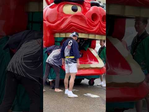 shorts 酒田大獅子　桜🌸　獅子パックン　酒田まつり サムネイル