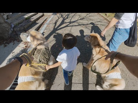 三兄弟並んでお散歩に成長を感じて勝手に感動するパパ サムネイル