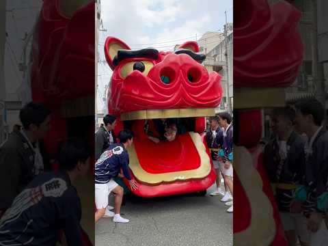 shorts 酒田大獅子　日和　獅子パックン　酒田まつり サムネイル